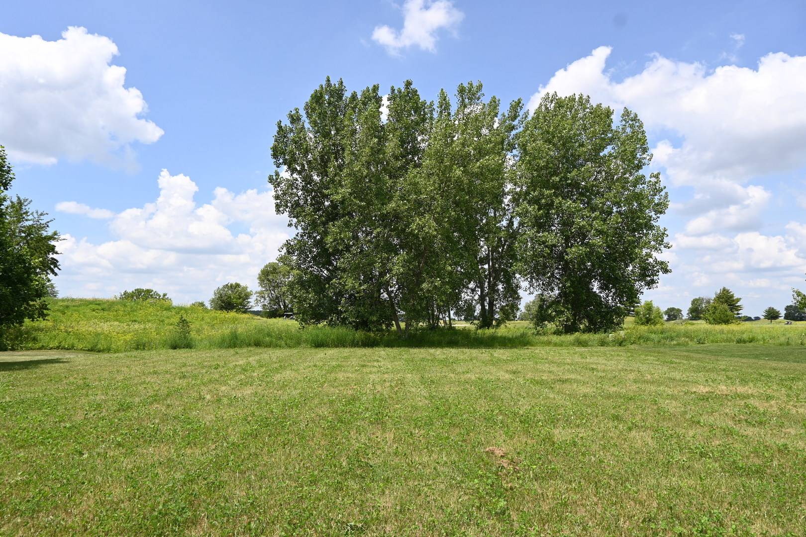 Morris, IL 60450,3900 W Nettle Creek DR