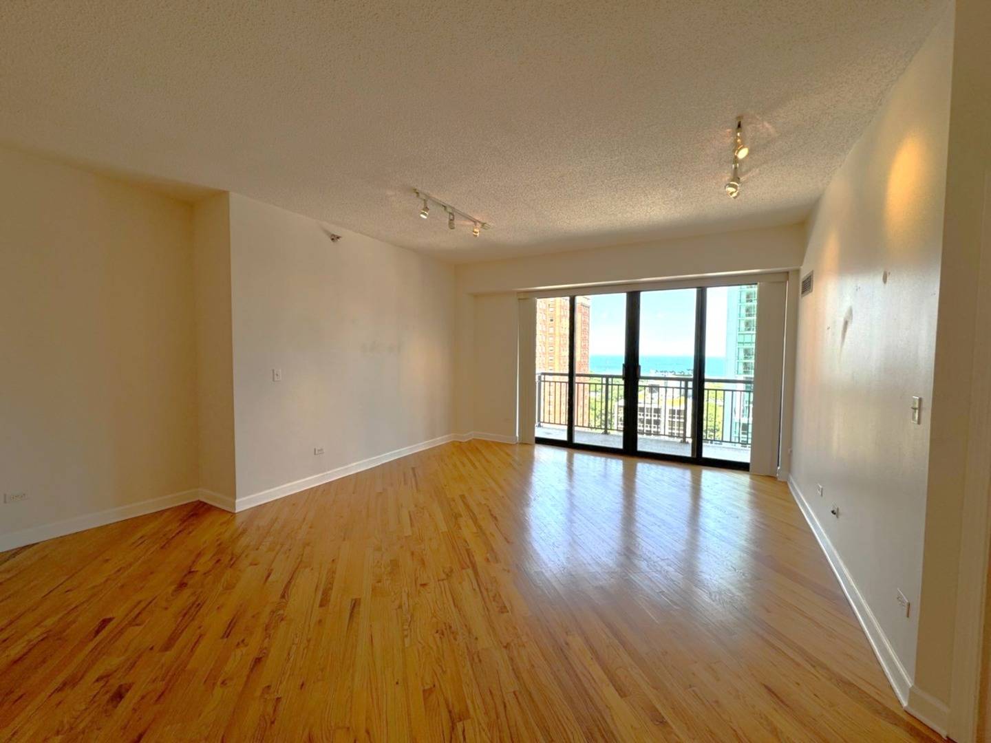 Chicago, IL 60605,41 E 8th ST #1702