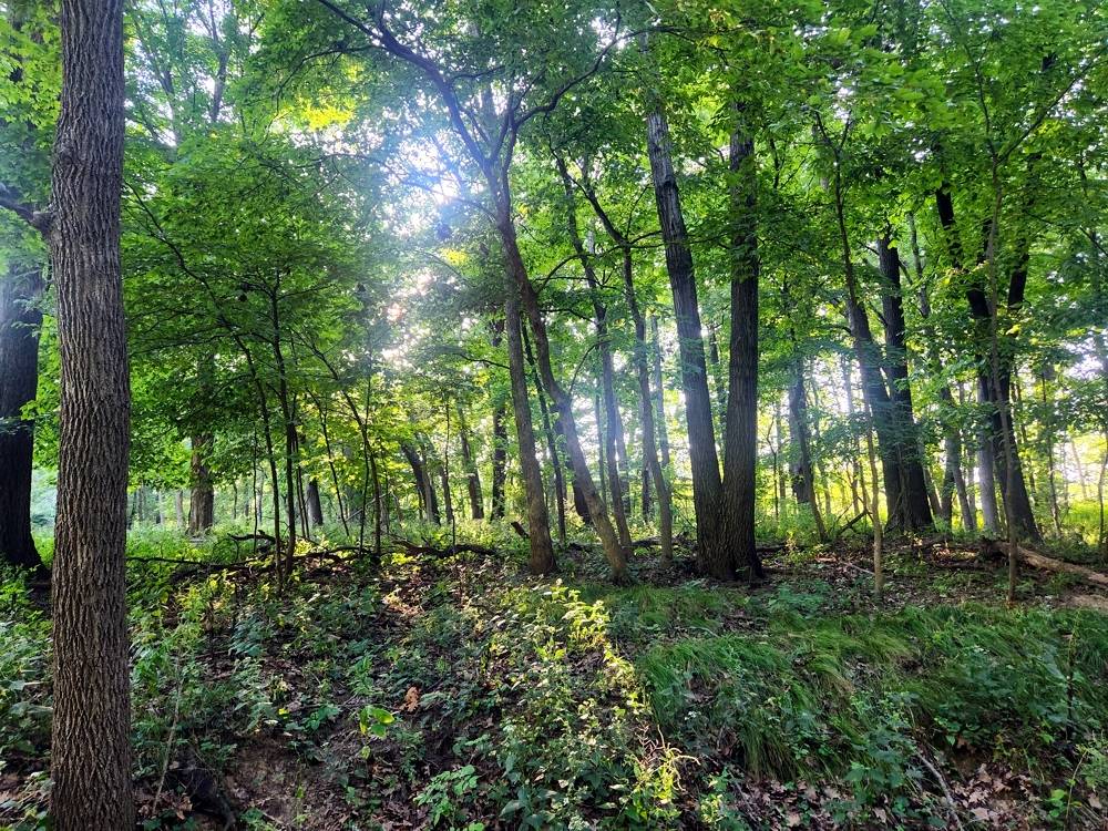 Varna, IL 61375,Lot 742 Brookside DR