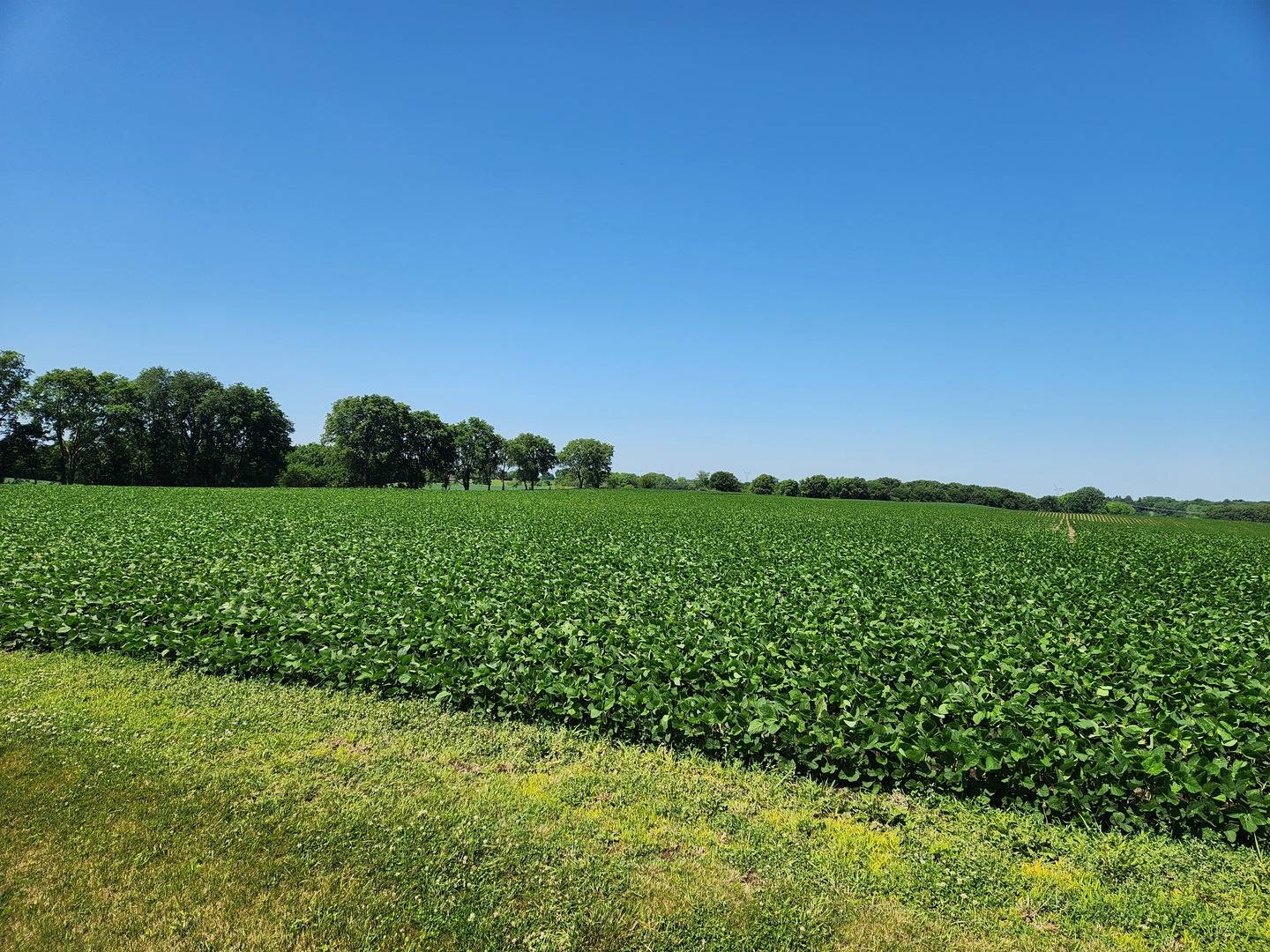 Franklin Grove, IL 61031,1841 Robbins RD
