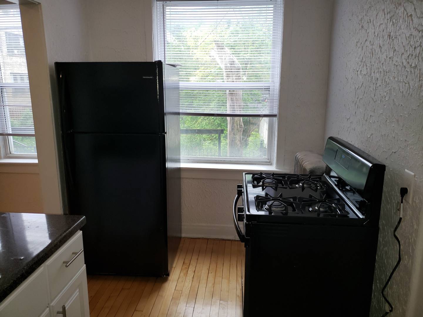 Chicago, IL 60647,1916 N Drake AVE #1E