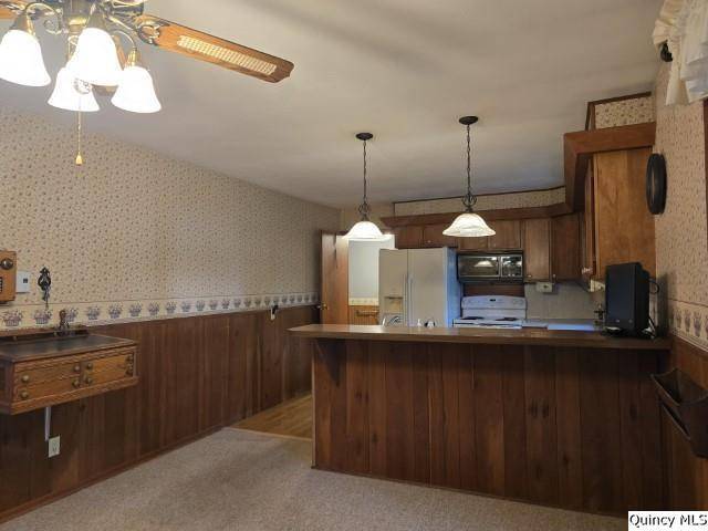 Carthage, IL 62321,707 Country LN