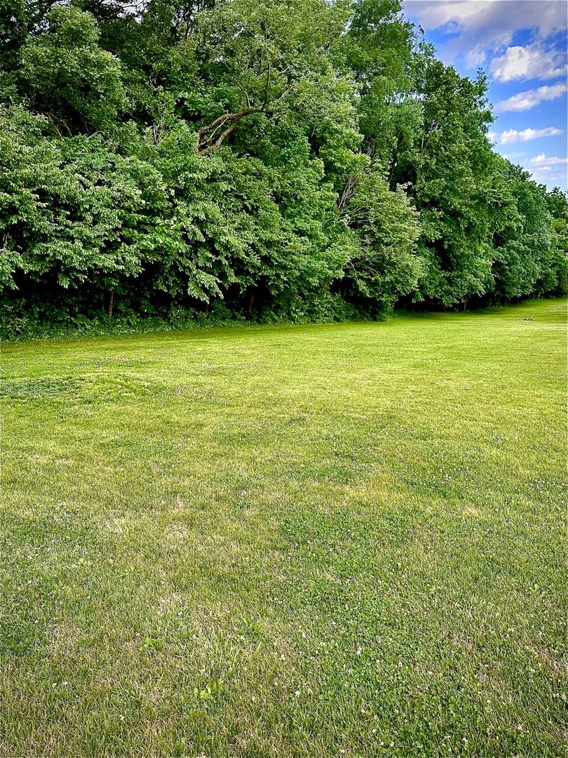 Earlville, IL 60518,0 E 1369th RD