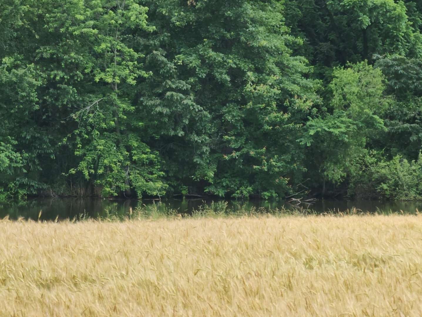Mount Vernon, IL 62864,12156 E Bunny Farm RD