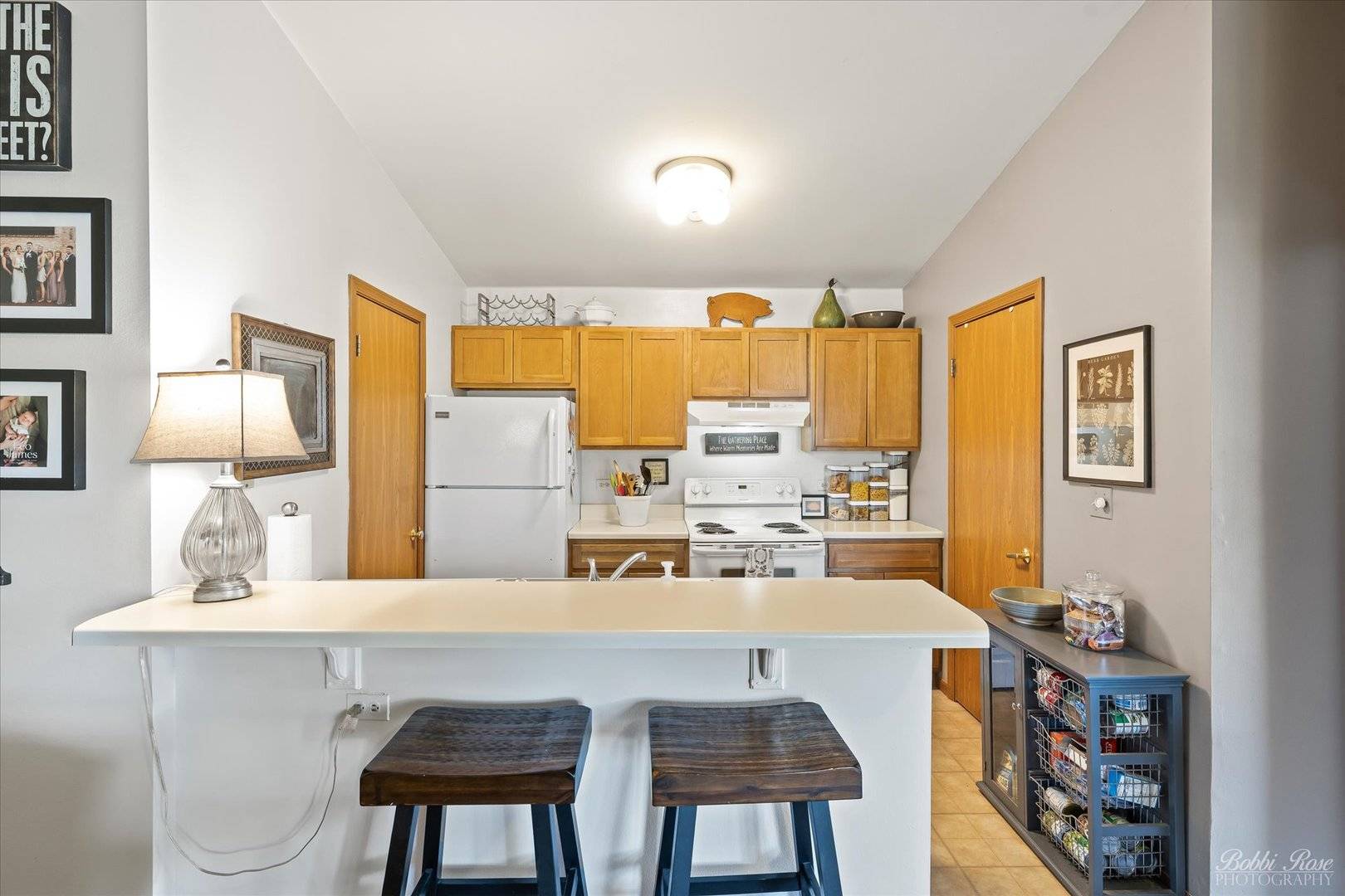 Lake In The Hills, IL 60156,1384 Cunat CT #2B