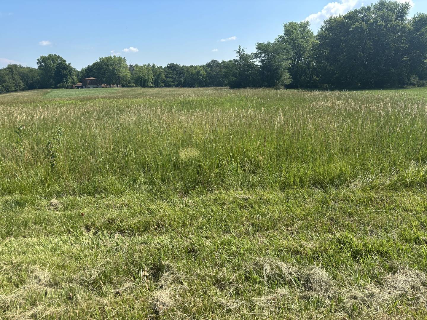 Varna, IL 61375,487 Lake Wildwood DR