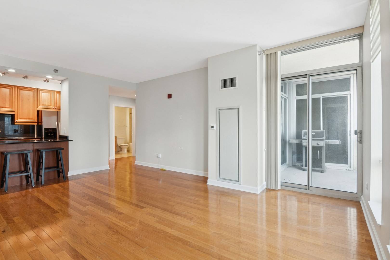 Chicago, IL 60605,1250 S MICHIGAN AVE #2304