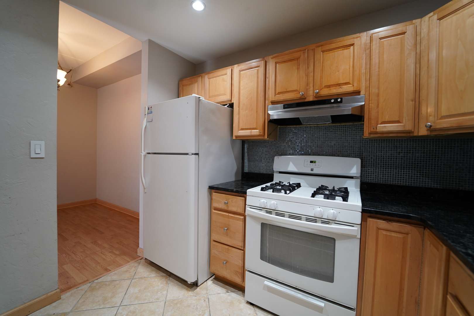 Schaumburg, IL 60193,1460 Fairlane DR #119