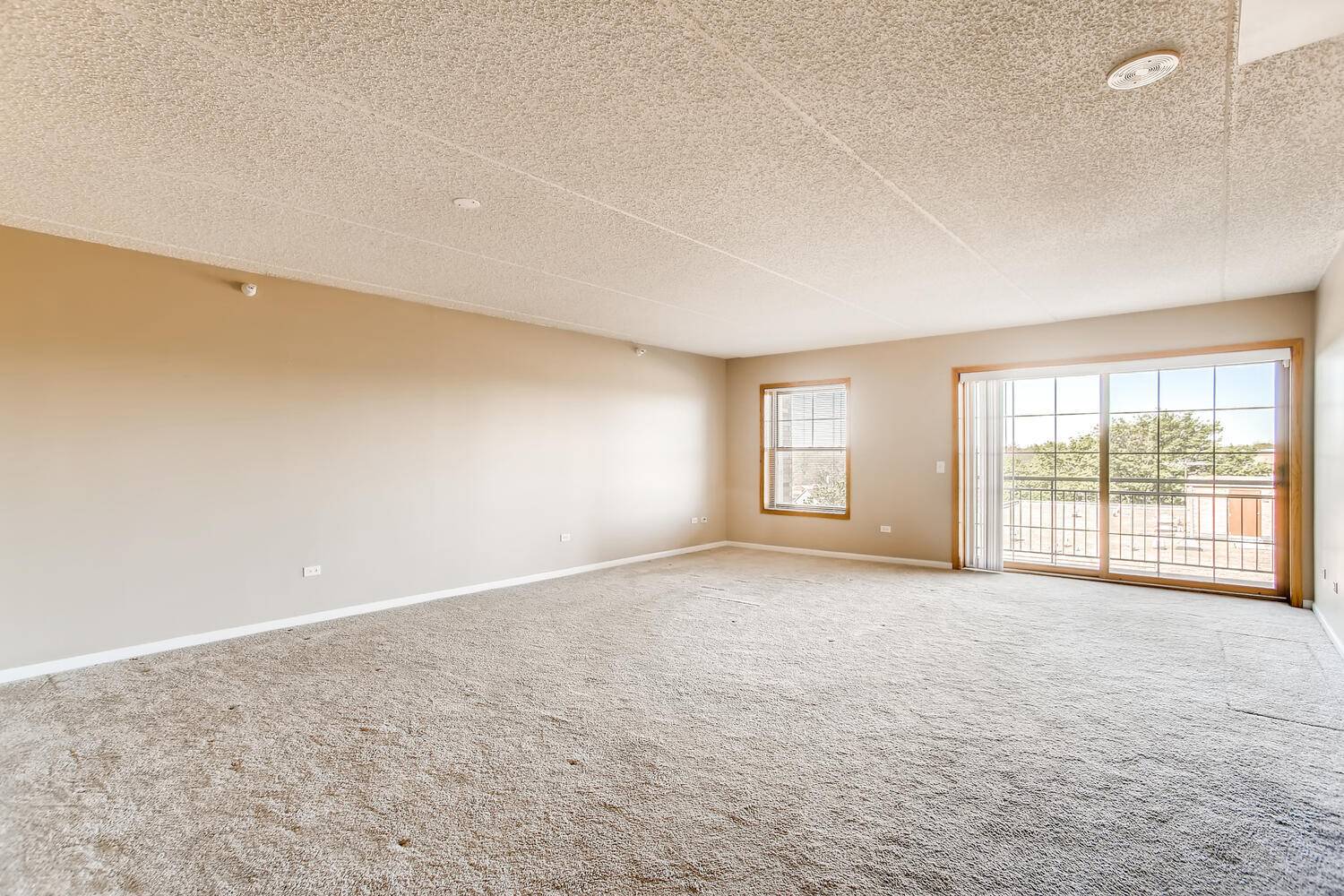 Arlington Heights, IL 60005,200 W Campbell ST #710