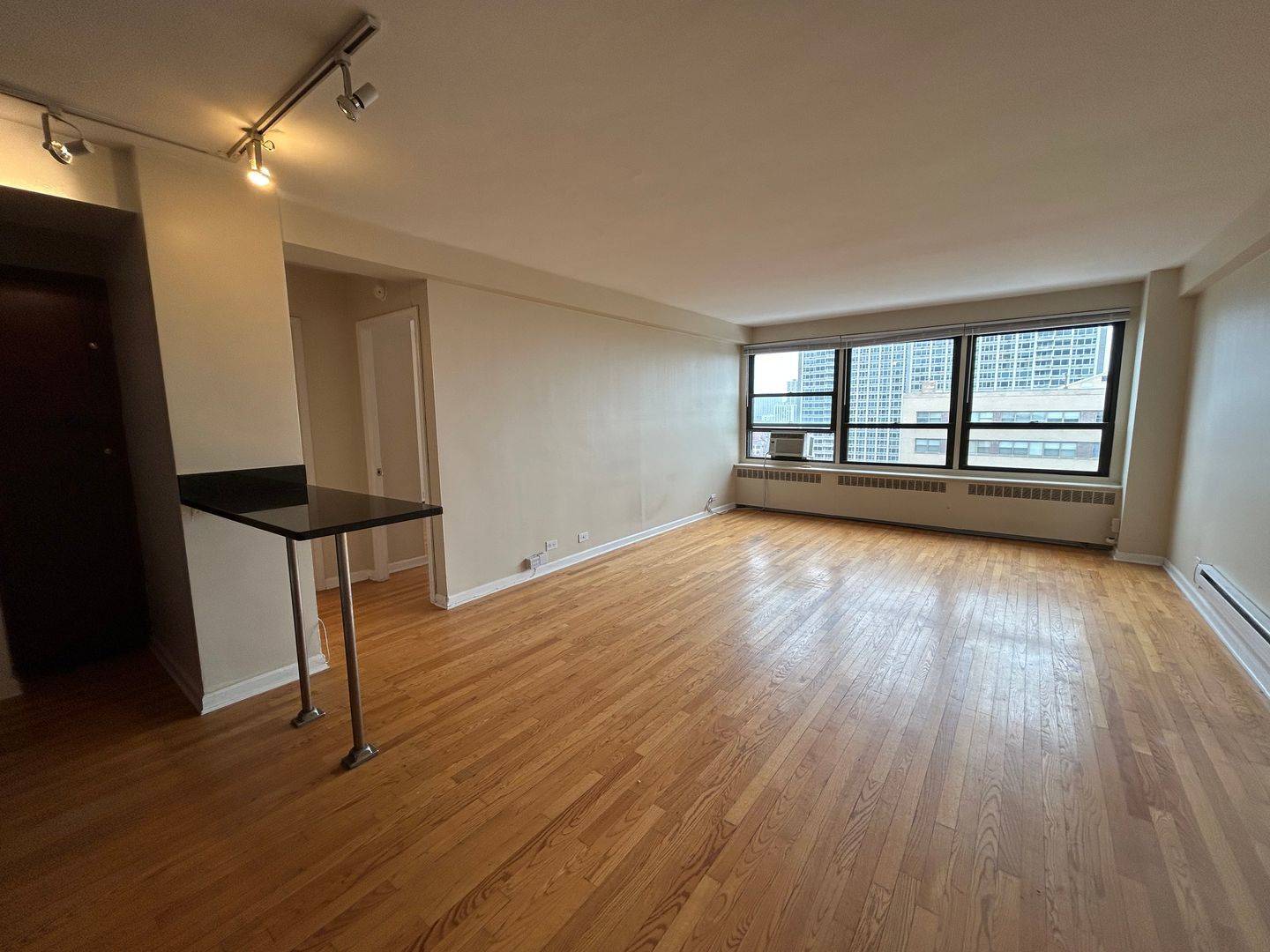 Chicago, IL 60613,4180 N Marine DR #1212
