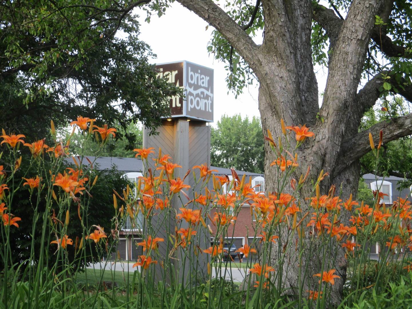 Bourbonnais, IL 60914,850 Exeter Turn #850