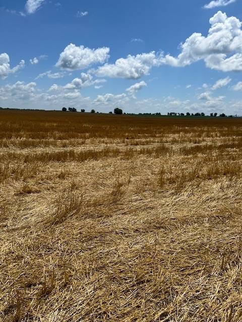 Varna, IL 61375,2000 County RD