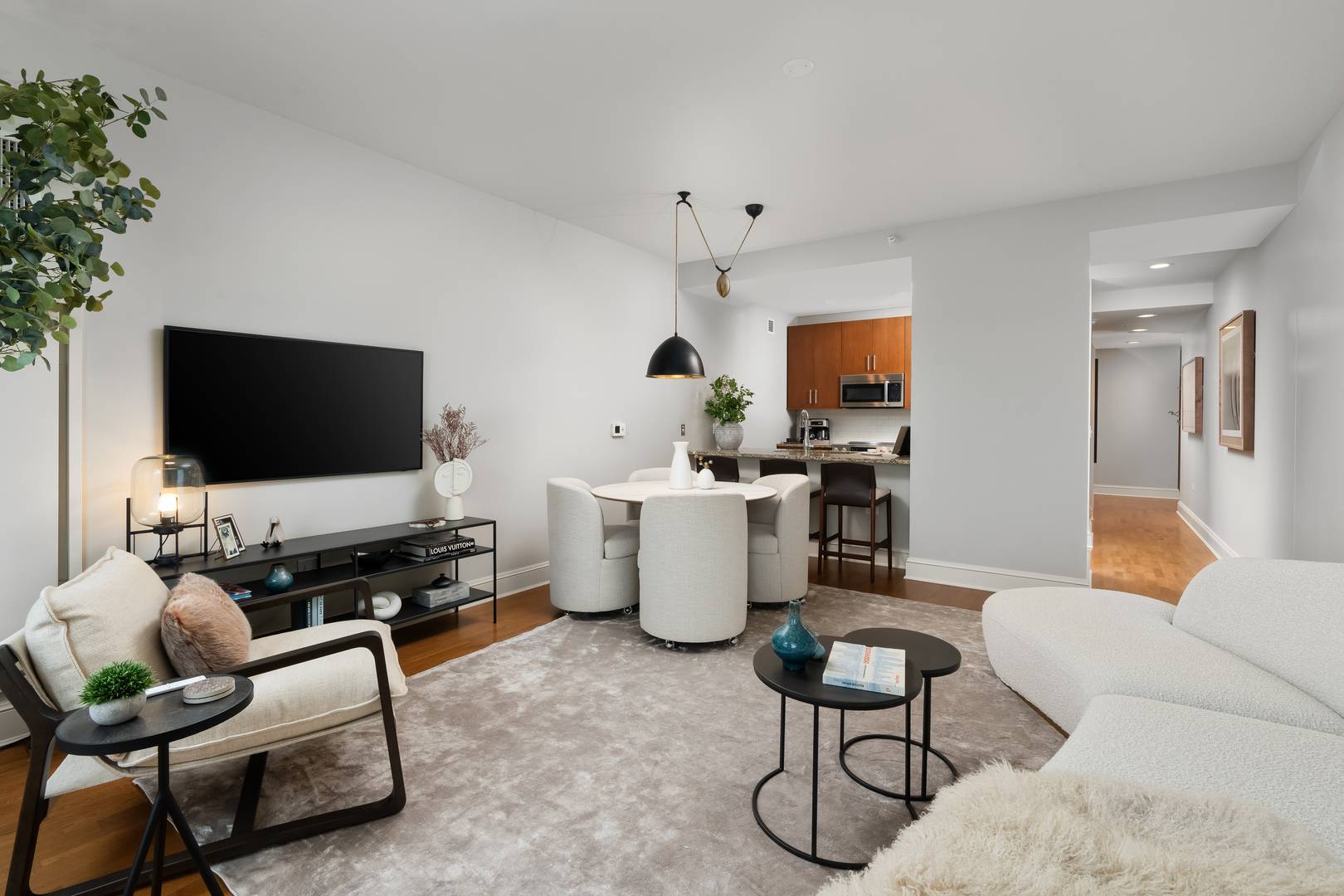 Chicago, IL 60611,850 N Lake Shore DR #707