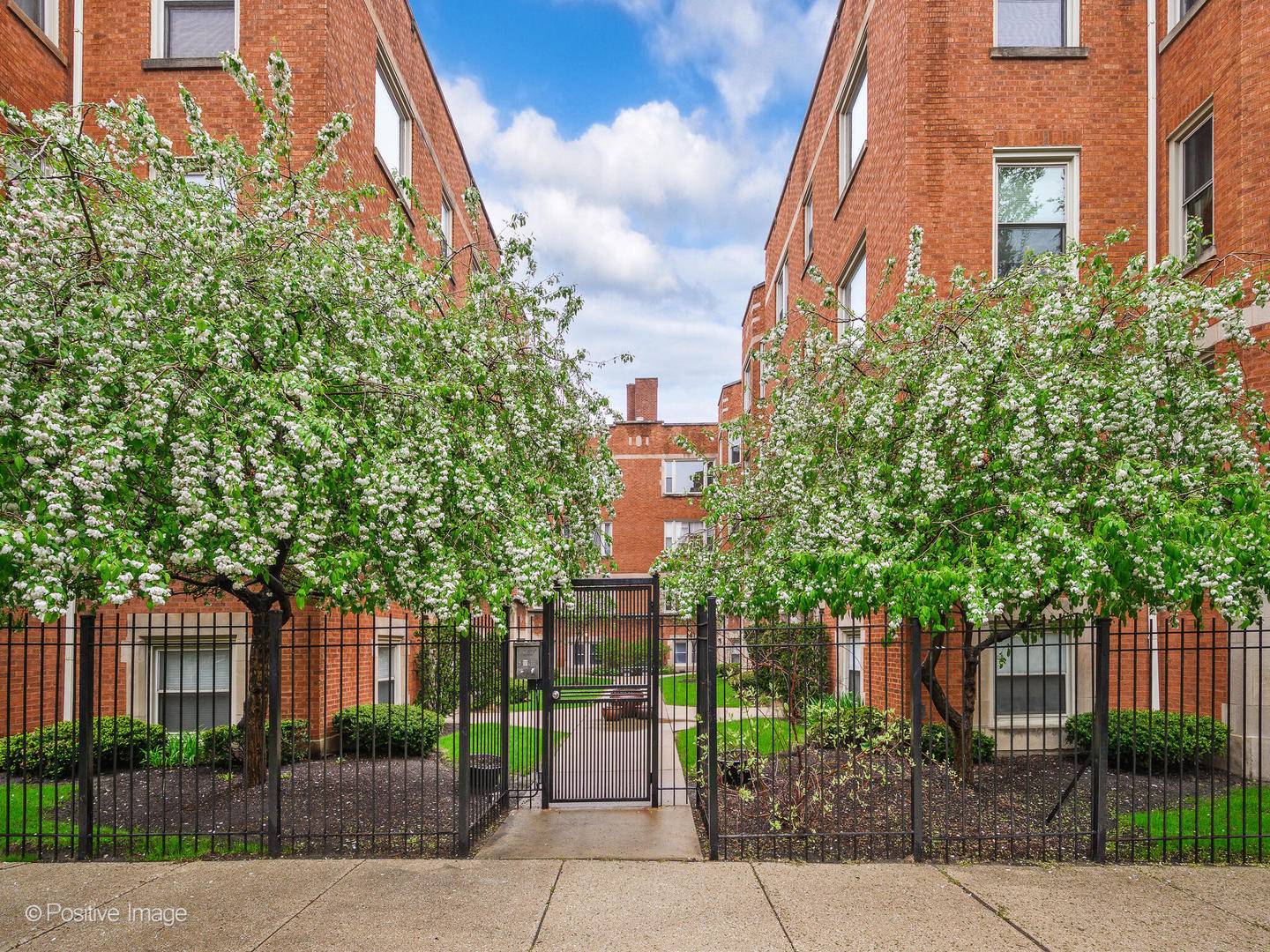 Chicago, IL 60626,1620 W Columbia AVE #3N