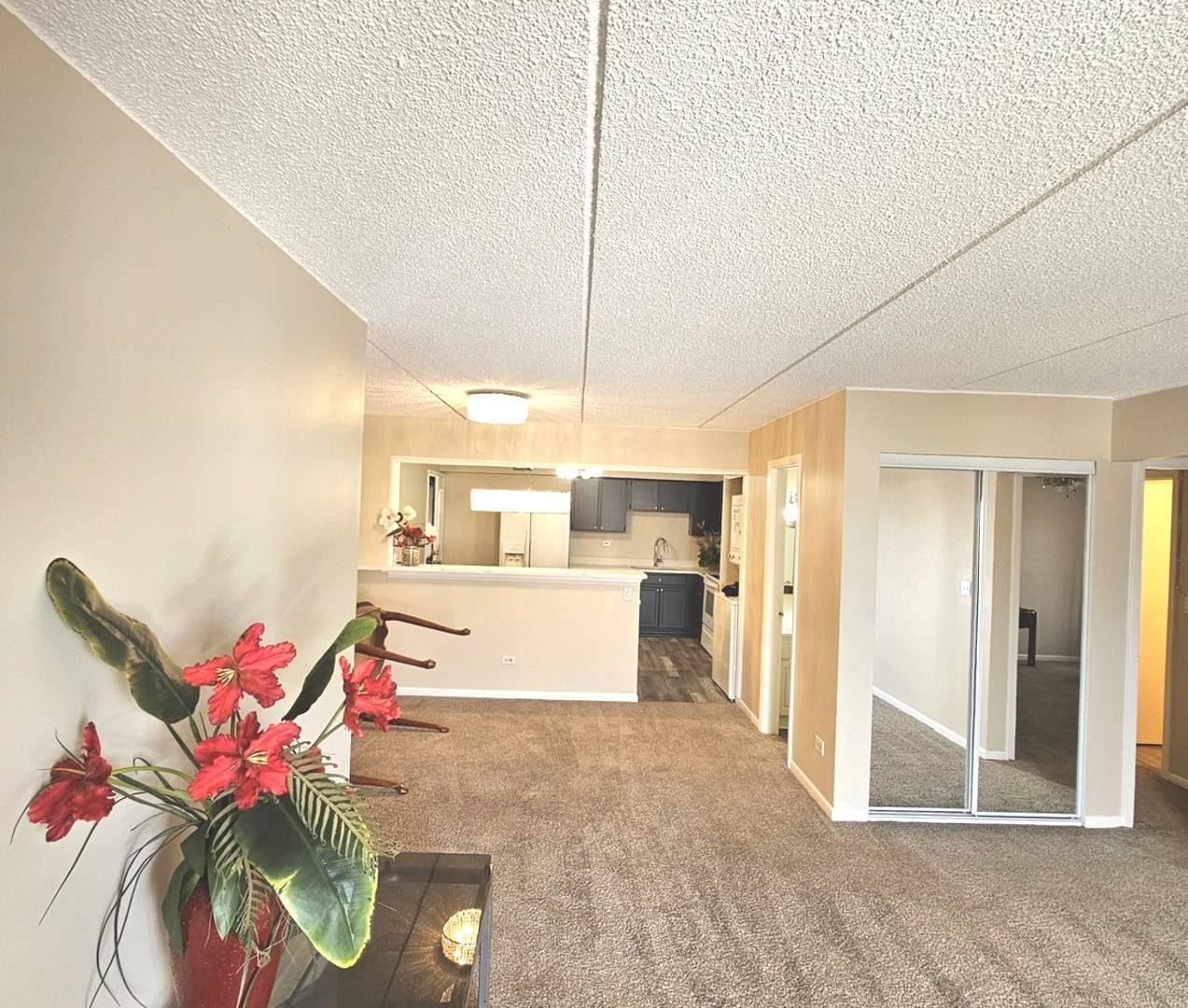 Addison, IL 60101,943 N ROHLWING RD #101H