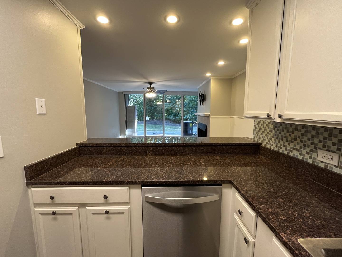 Lisle, IL 60532,1811 FOUR LAKES AVE #1H