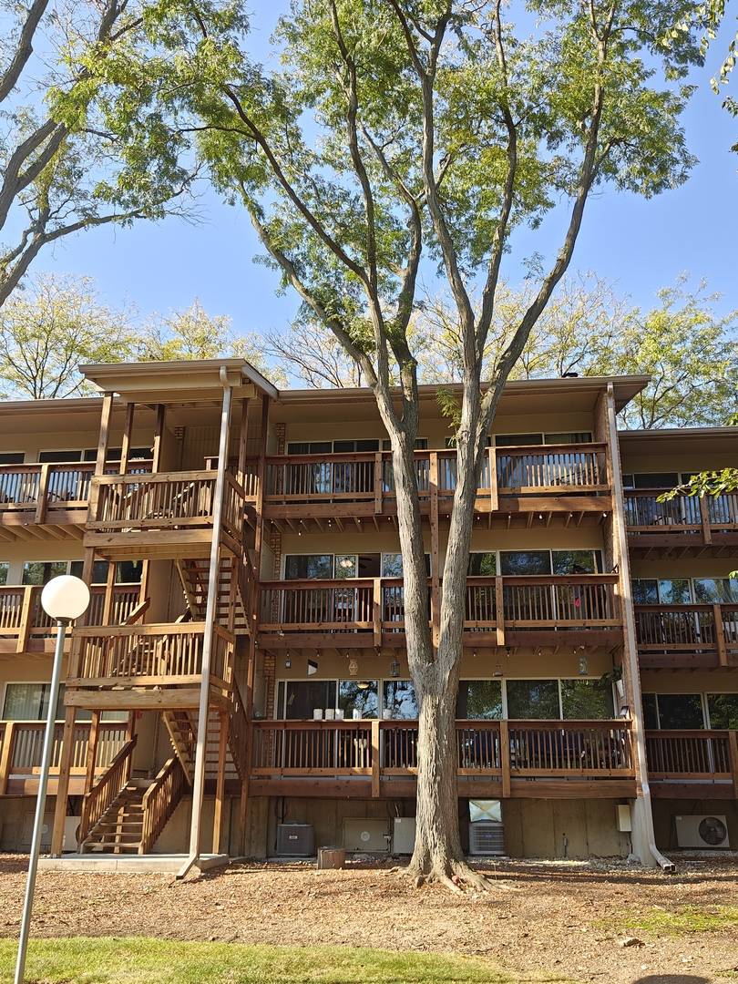 Lisle, IL 60532,5807 Oakwood DR #C