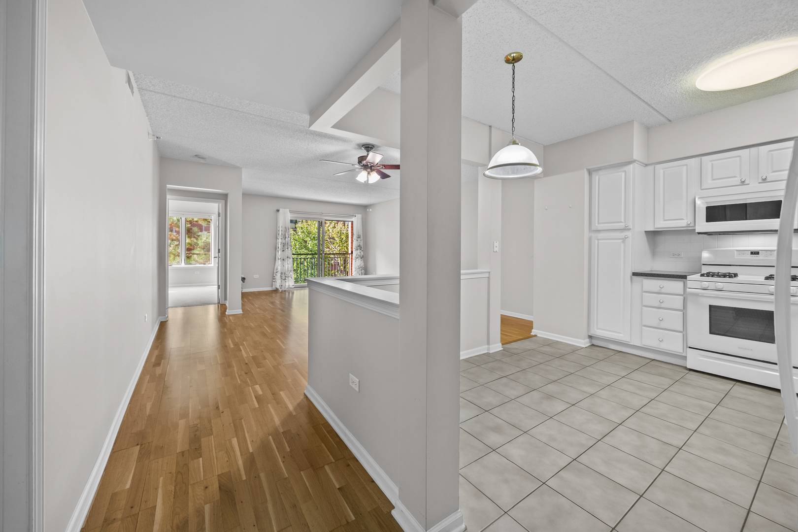 Mount Prospect, IL 60056,20 S MAIN ST #301