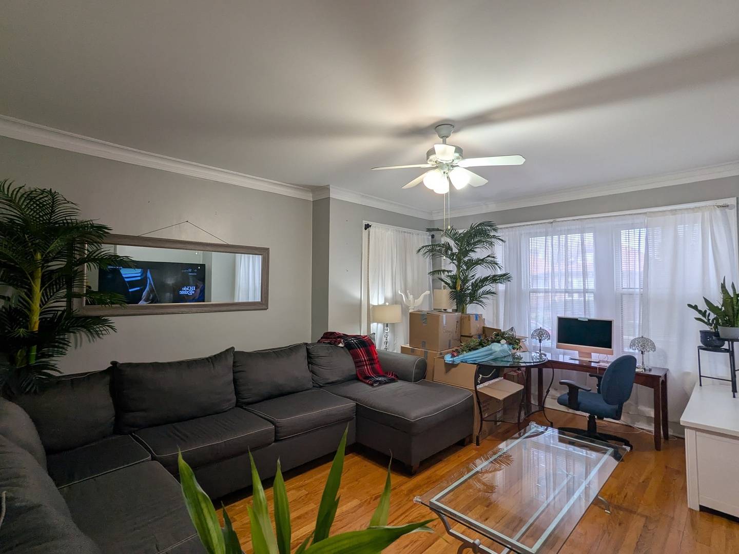 Chicago, IL 60645,6734 N Campbell AVE