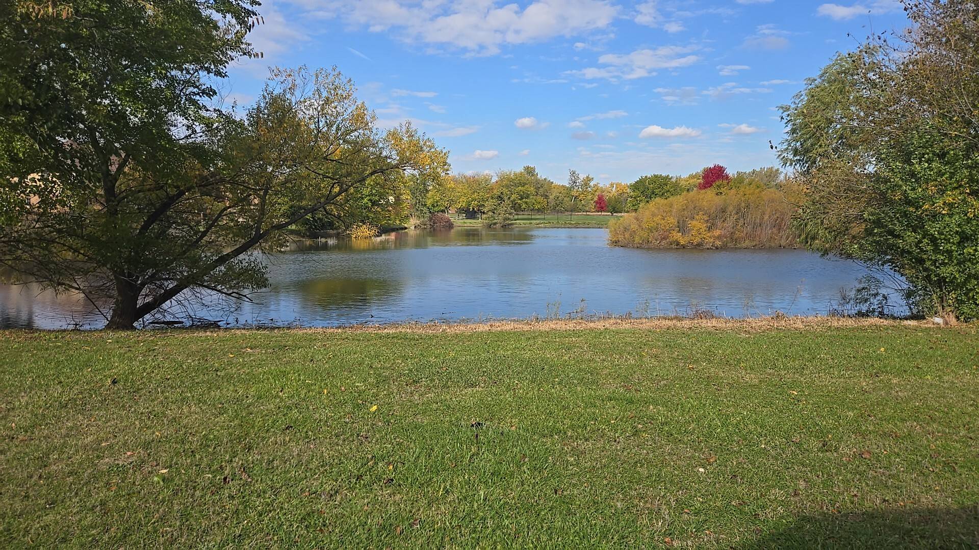 Flossmoor, IL 60422,3907 Troon ST