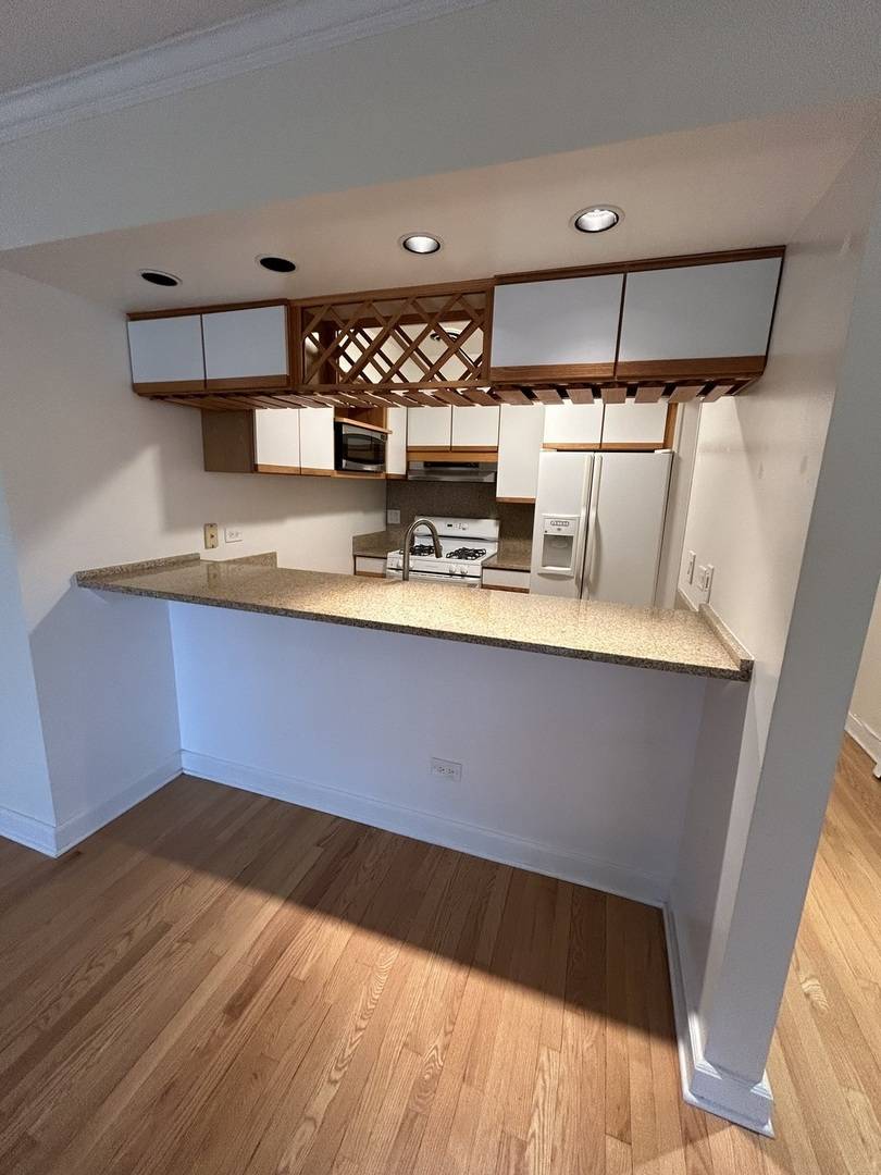 Chicago, IL 60614,401 W Webster AVE #502