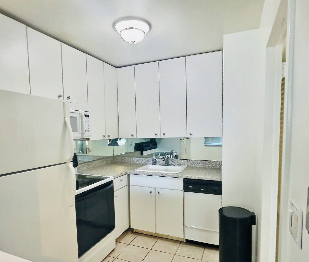 Chicago, IL 60610,1255 N Sandburg TER #1608