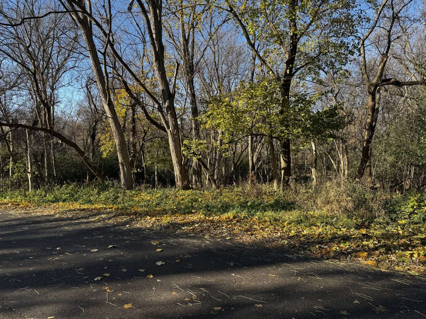 Barrington, IL 60010,21260 N Prestwick DR