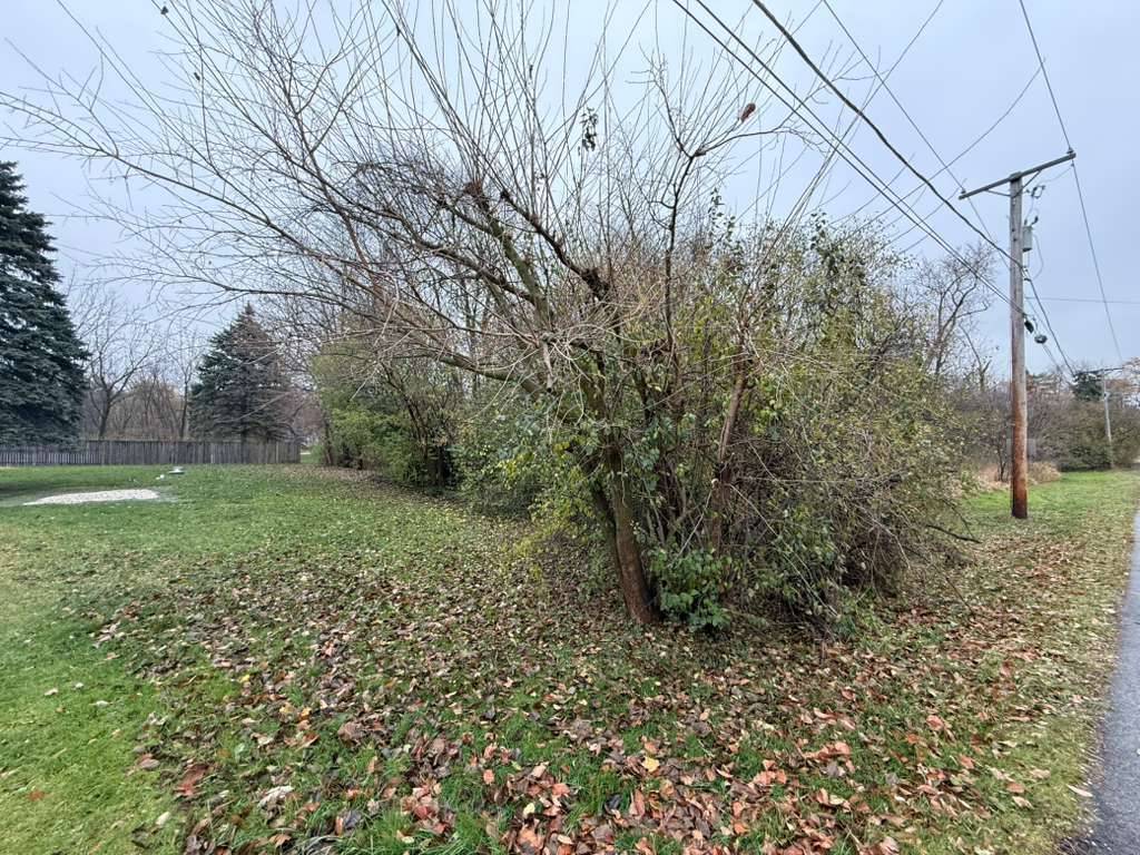 Glen Ellyn, IL 60137,Address not disclosed