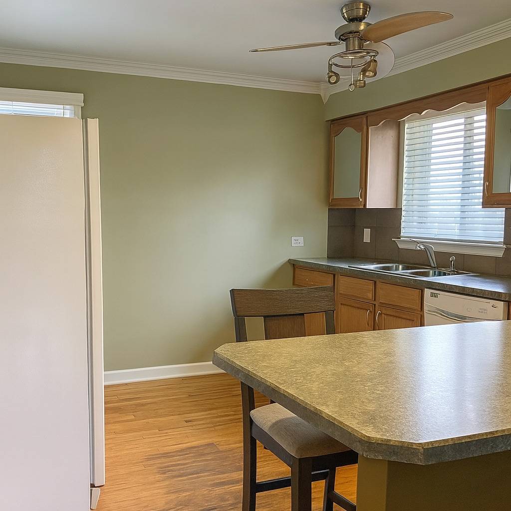 Hillside, IL 60162,439 N Elm ST