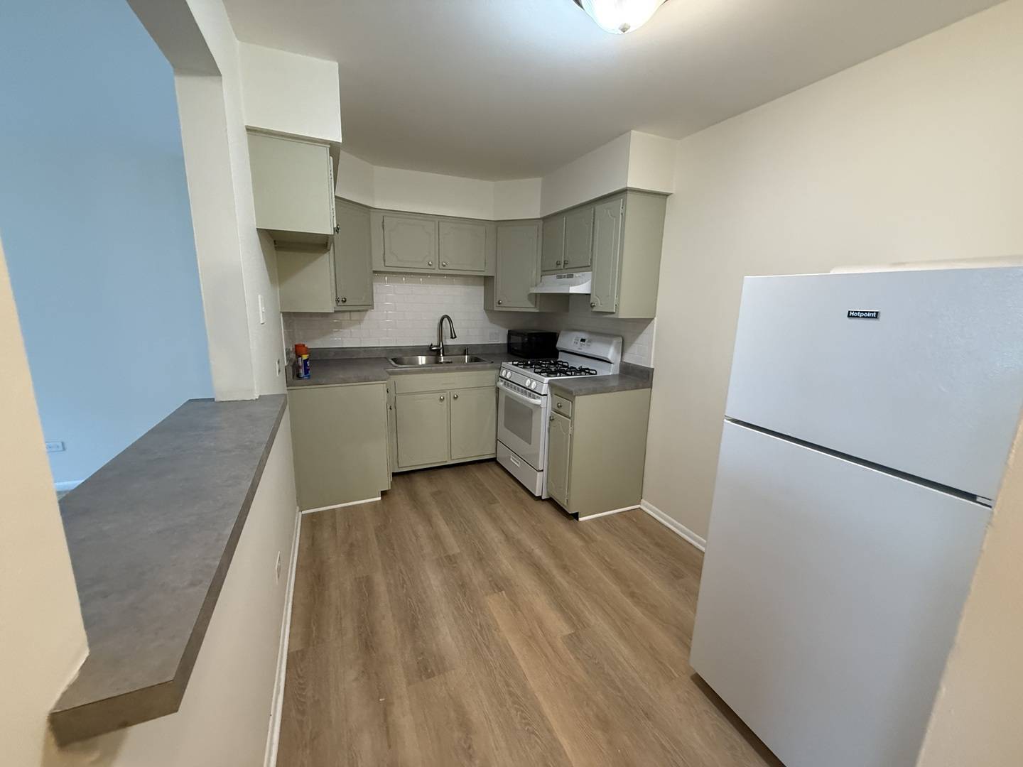 Wheaton, IL 60187,1039 college AVE #5W