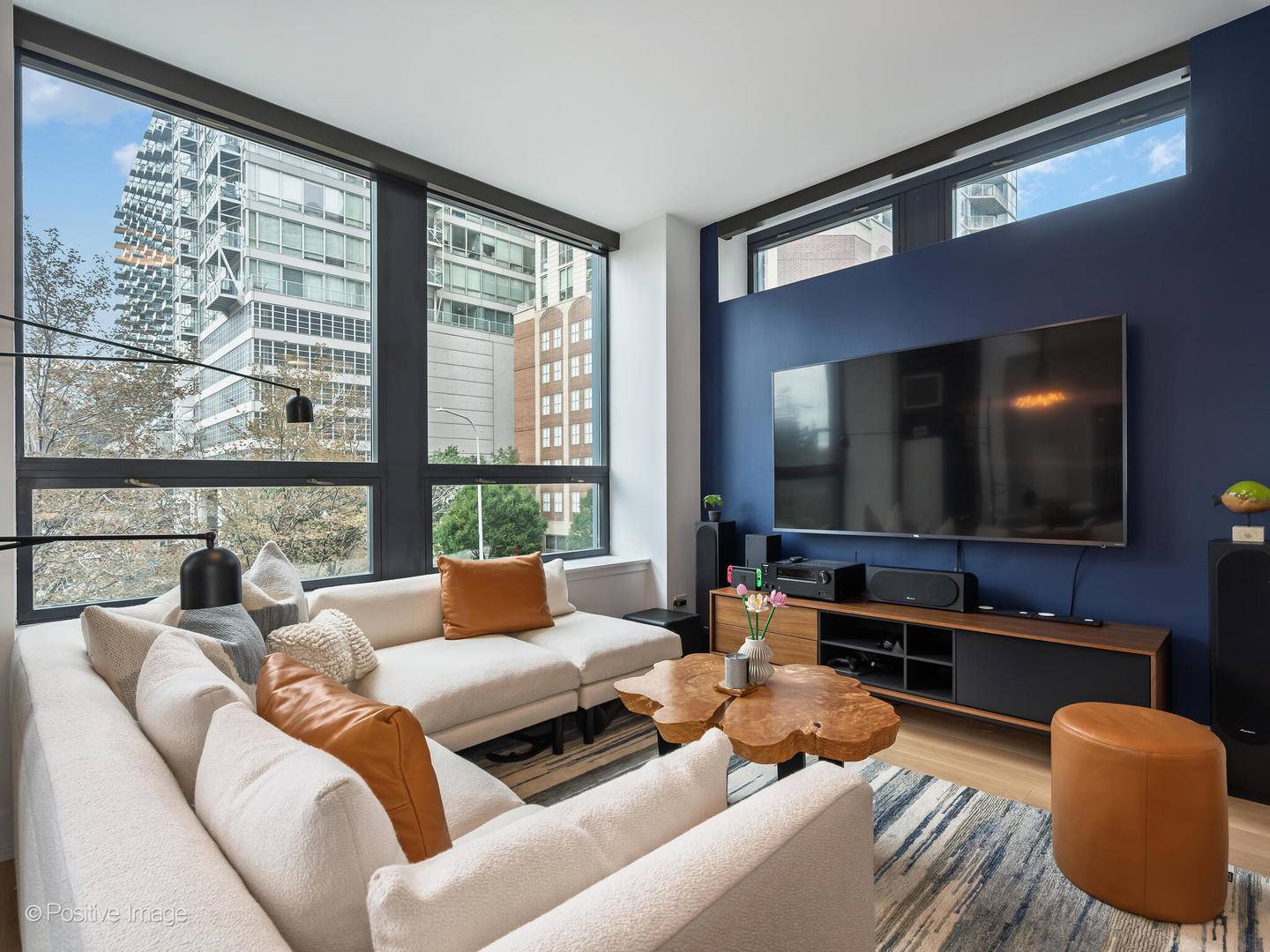 Chicago, IL 60654,600 N KINGSBURY ST #309