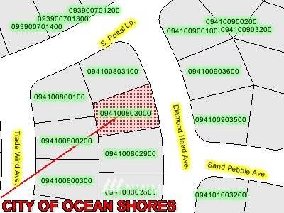 Ocean Shores, WA 98569,1409 Diamond Head AVE SW