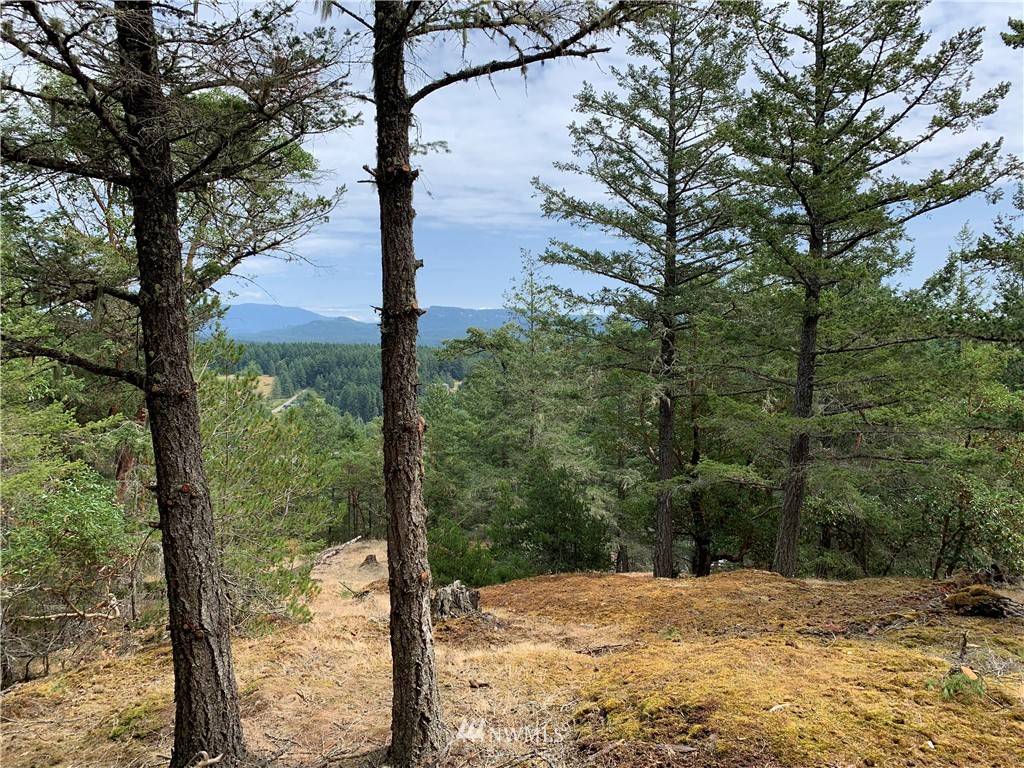 Orcas Island, WA 98245,0 Harborview LN