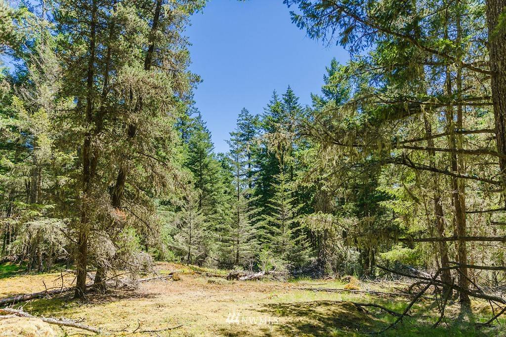 Orcas Island, WA 98245,0 xx Guthrie Cove RD