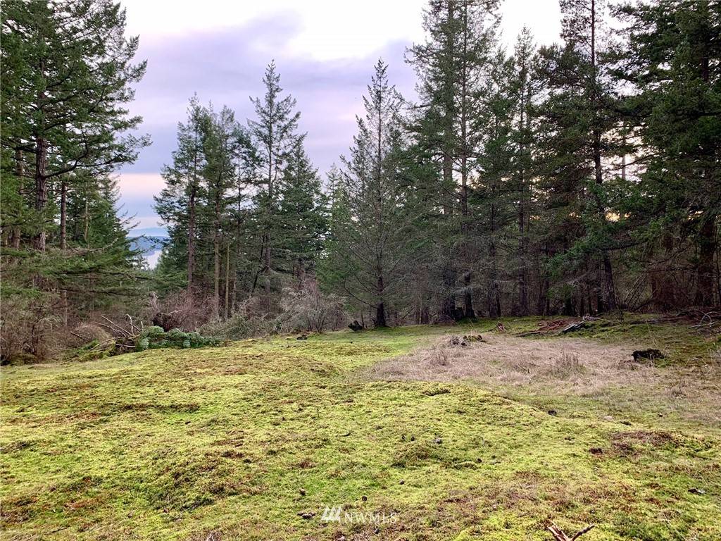 Orcas Island, WA 98245,0 xx Guthrie Cove RD