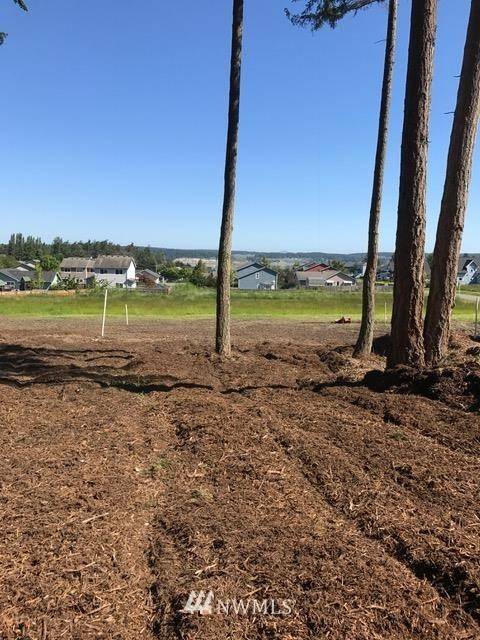 Coupeville, WA 98239,0 NW Wilkes Street Lot 3