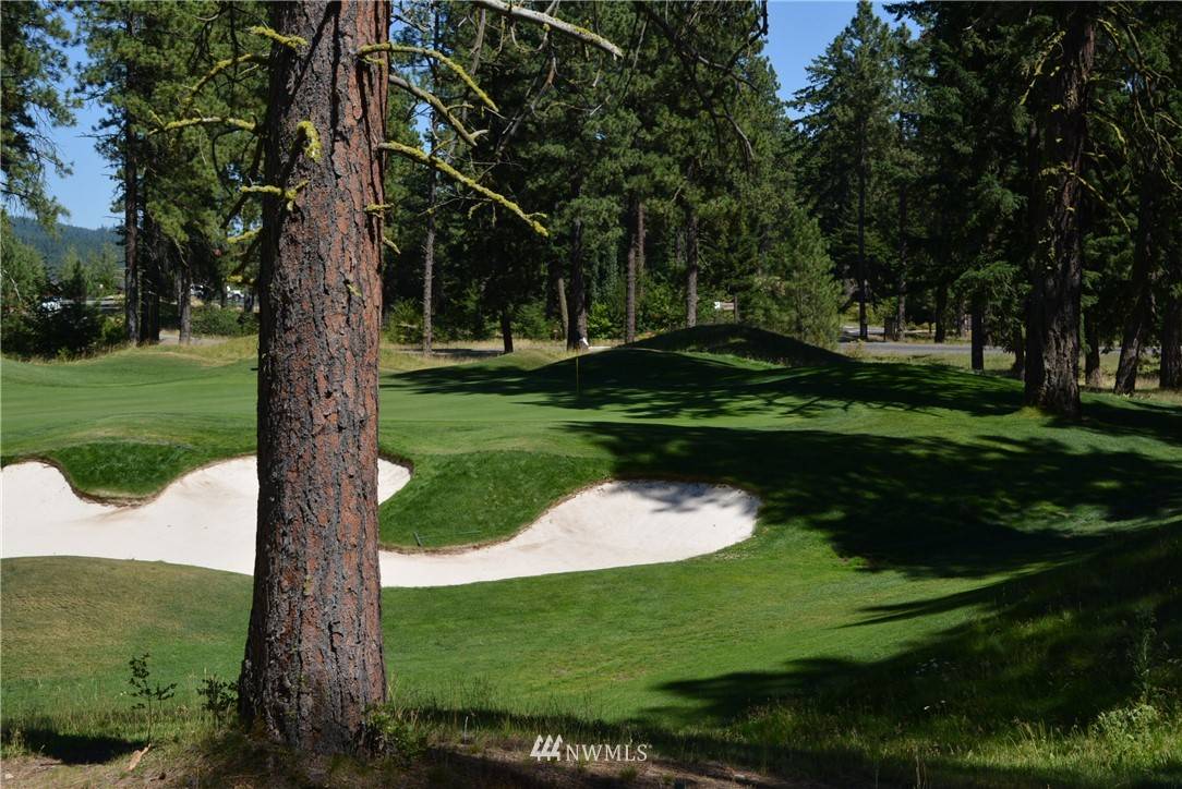 Cle Elum, WA 98922,24 Kings CT