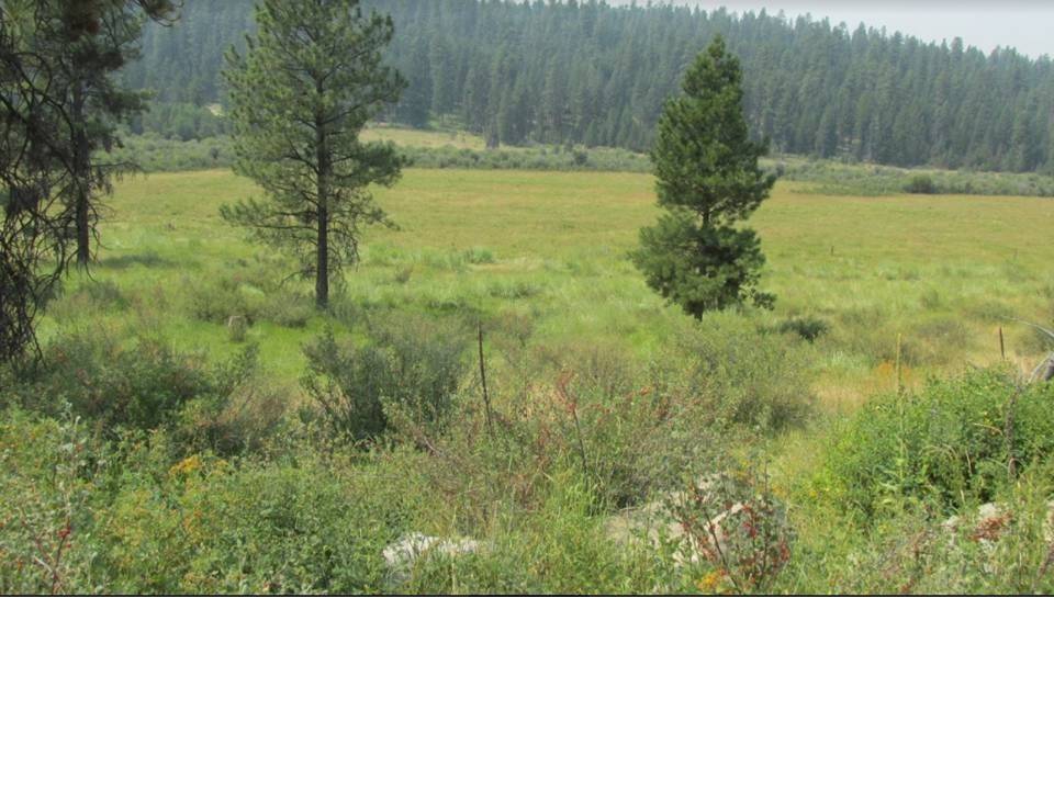 Tonasket, WA 98855,0 Bench Creek