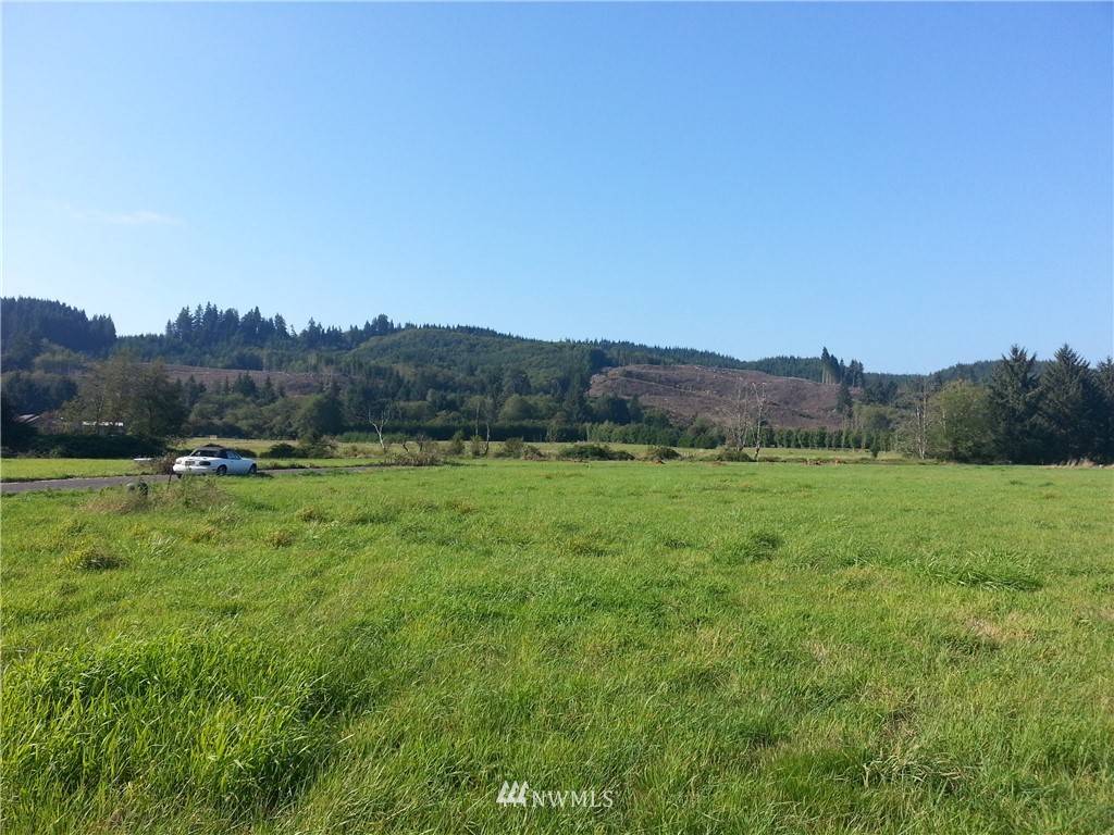 Cathlamet, WA 98612,0 Lot 4 Nature Loop