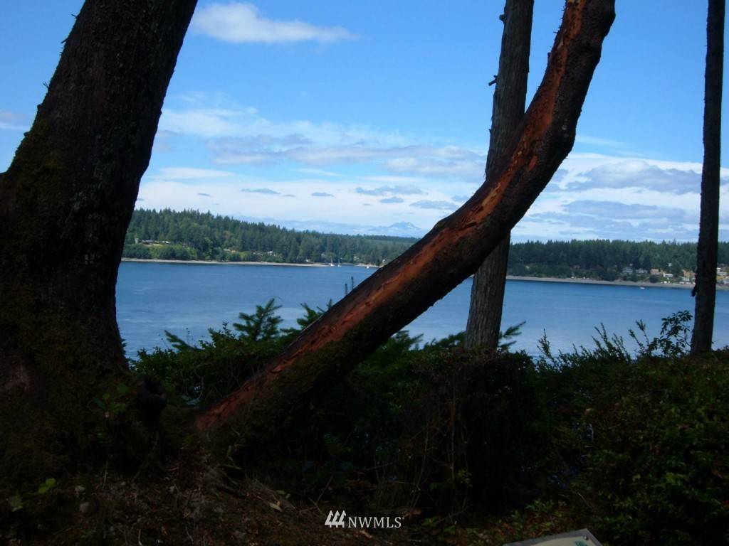 Shelton, WA 98584,559 E Pointes DR W