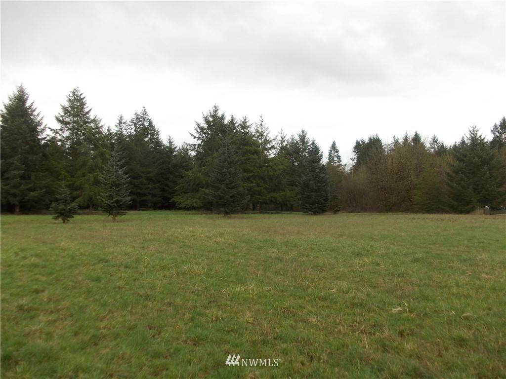 Rochester, WA 98579,11543 School Land RD SW