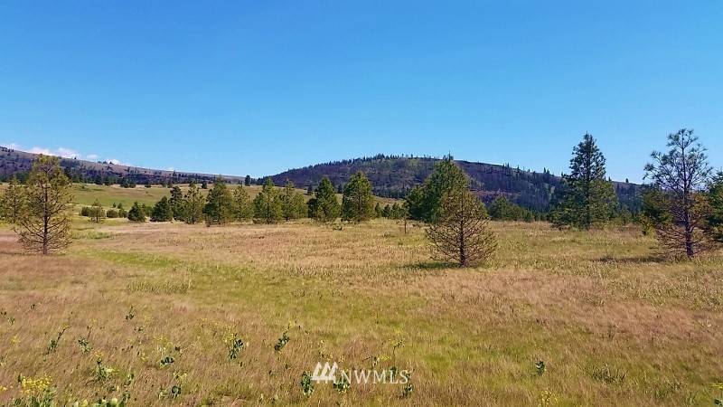 Cle Elum, WA 98922,0 Lots D&E Hidden Valley RD