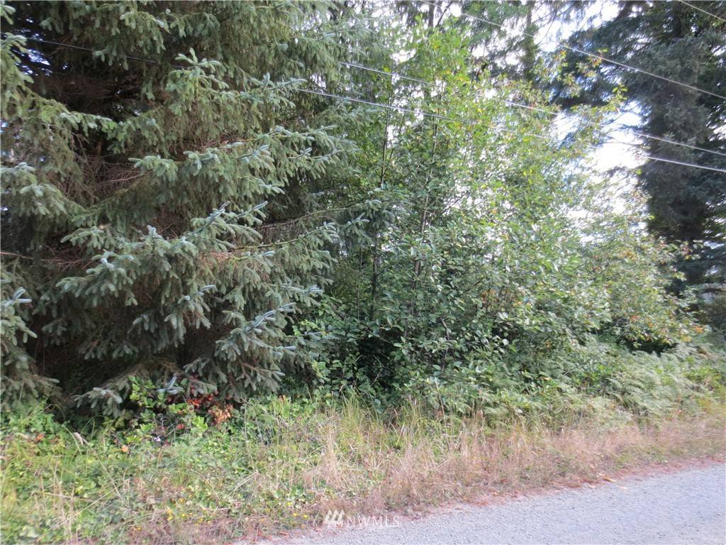 Ocean Park, WA 98640,0 232nd PL