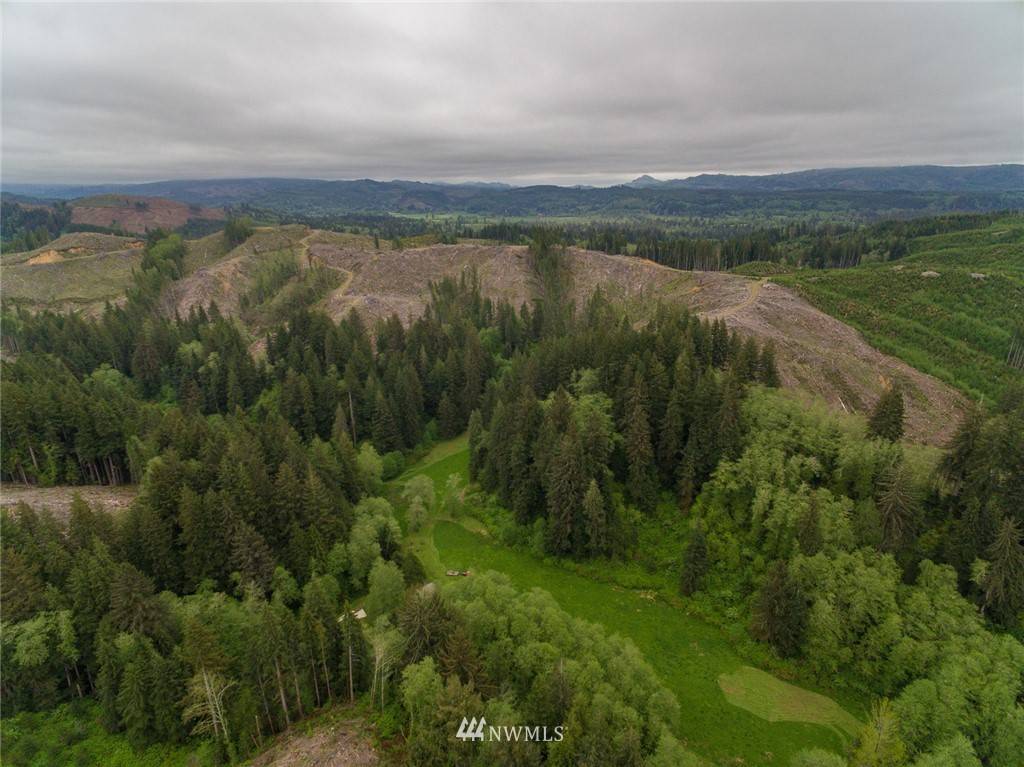 Naselle, WA 98638,0 Ranglia RD