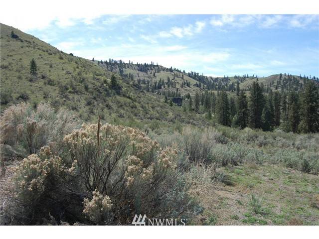 Orondo, WA 98843,0 Mountain Springs RD #80