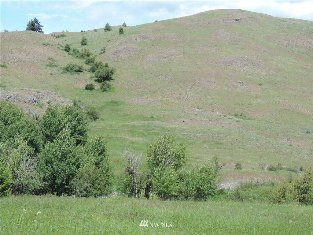 Oroville, WA 98844,1500 Lot C1 Chesaw RD