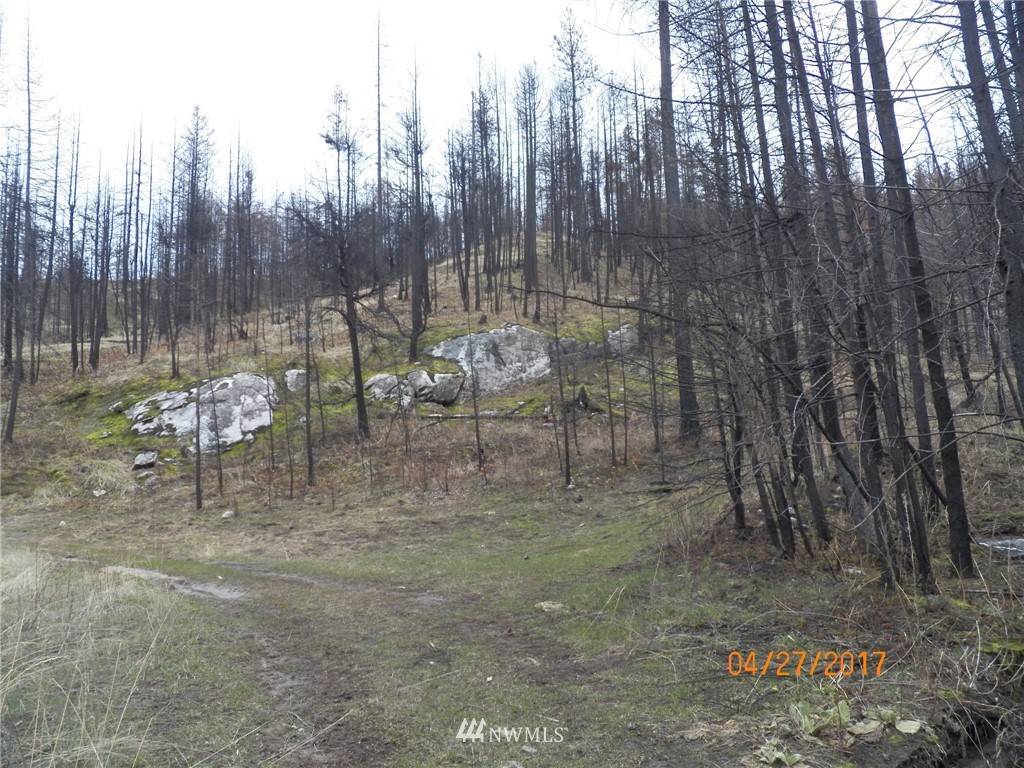 Riverside, WA 98849,0 Lot 19 Red Feather RD