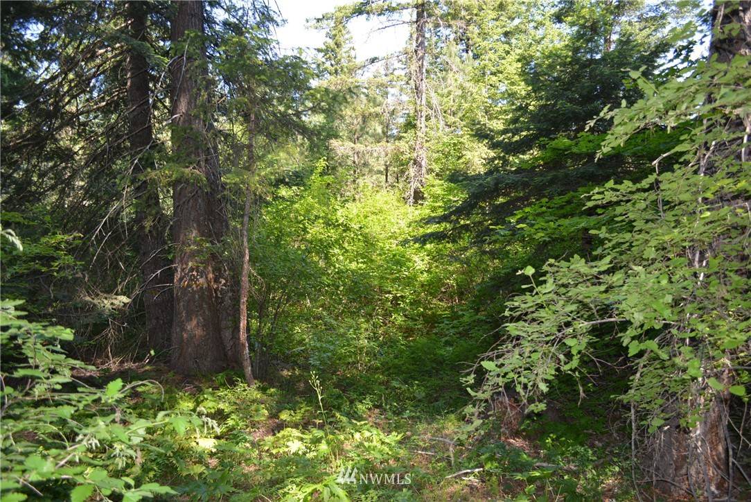 Cle Elum, WA 98922,120 Snowberry LOOP