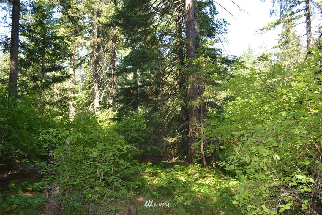 Cle Elum, WA 98922,120 Snowberry LOOP