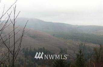 Kelso, WA 98626,0 XX Wagner RD